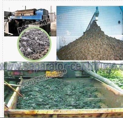 Waste Water Treatment Decanter Centrifuge With Filter Cake Delivery System